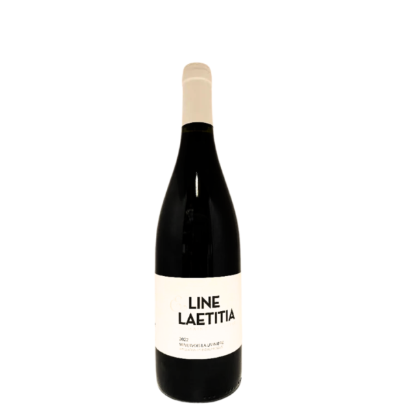 Domaine piccinini Line et leatitia