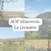 AOP minervois la livinière c'est quoi ?