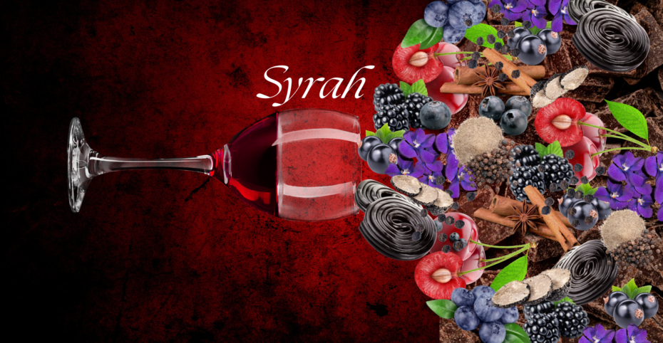 Le syrah cépage en image