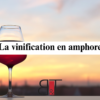 la vinification en amphore