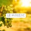 le mauzac cépage